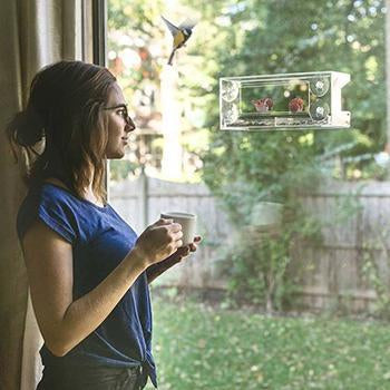 Alimentador de Pássaros para Janelas - Observação Clara de Pássaros Selvagens